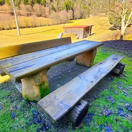 Prázdninový dům Doppelzimmer Schwarzwaldharmonie Mit Gem. Kueche *