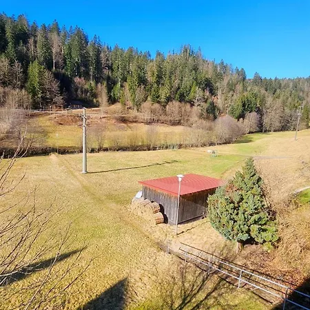 Doppelzimmer Schwarzwaldharmonie Mit Gem. Kueche Holiday home *