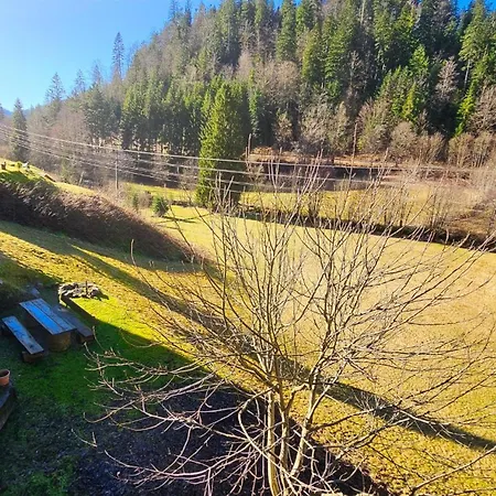 Doppelzimmer Schwarzwaldharmonie Mit Gem. Küche Ferienhaus